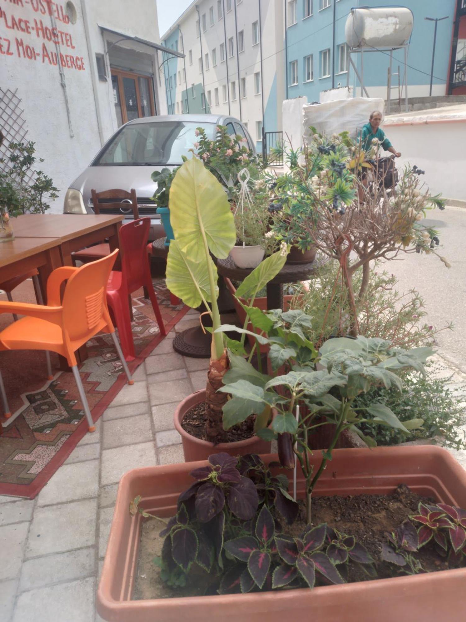 Casa Mia Hostel Vlorë Екстериор снимка